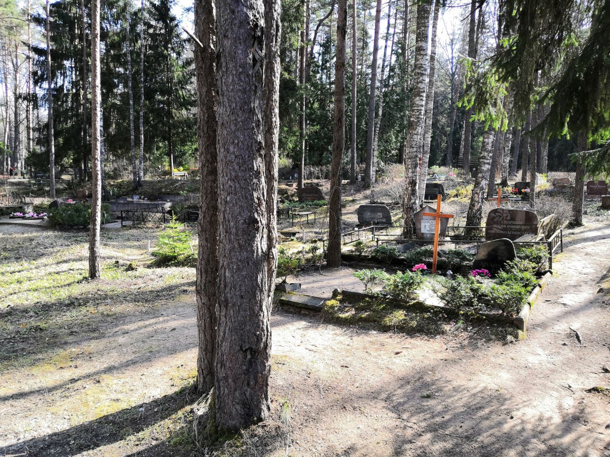 Lesní hřbitov