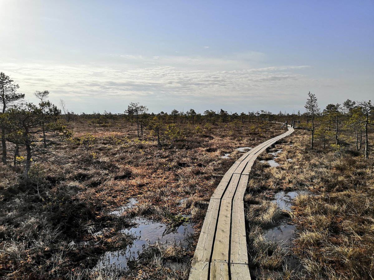 Dřevěný chodníček 