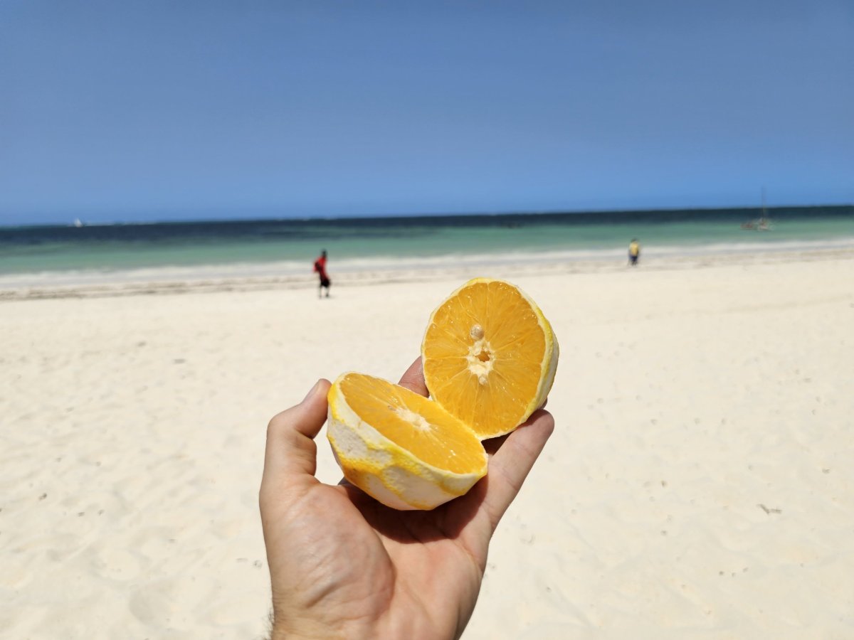 Pomeranč na pláži Kiwengwa