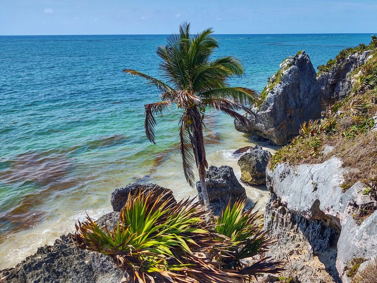 Výhled na Karibik nad přístavem