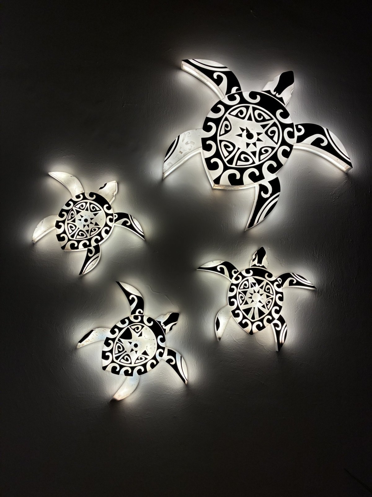 Rezervace Ras al Jinz