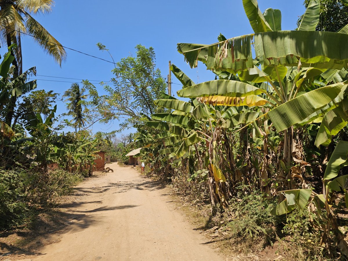 Vedlejší prašná cesta na pláž Mtende