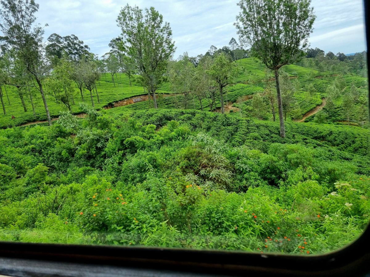 Malebná cesta vlakem