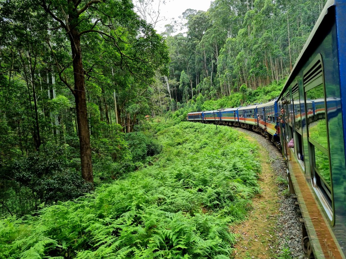 Malebná cesta vlakem