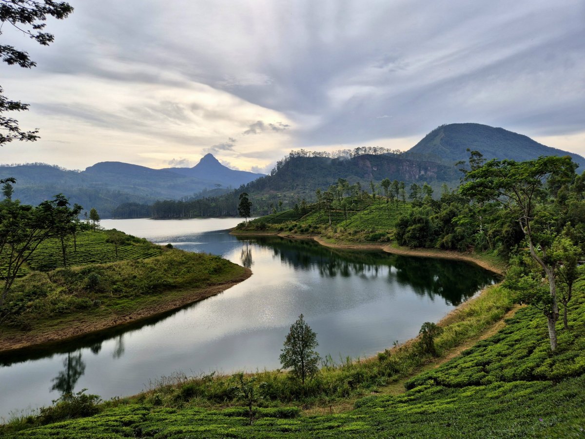 Výhled na Adamovu horu