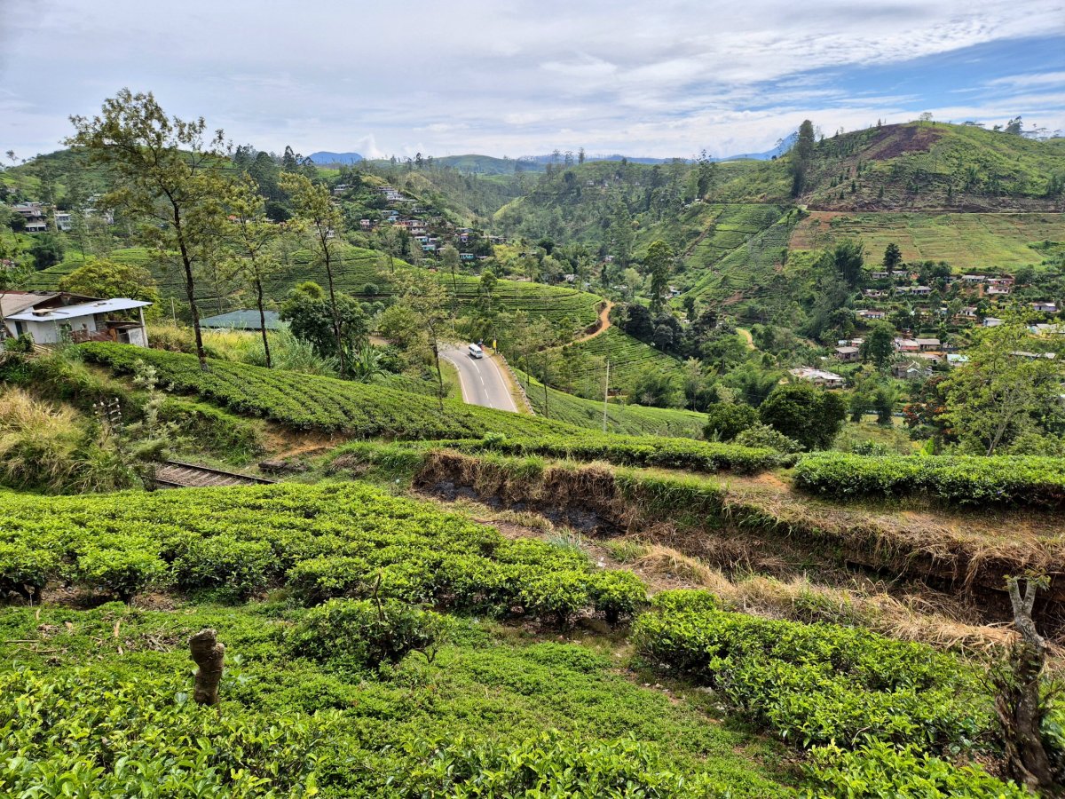 Po cestě do Nallathanniye