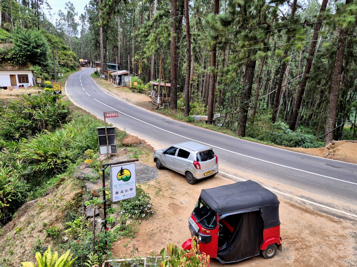 Pine Trees Homestay - výhled terasy