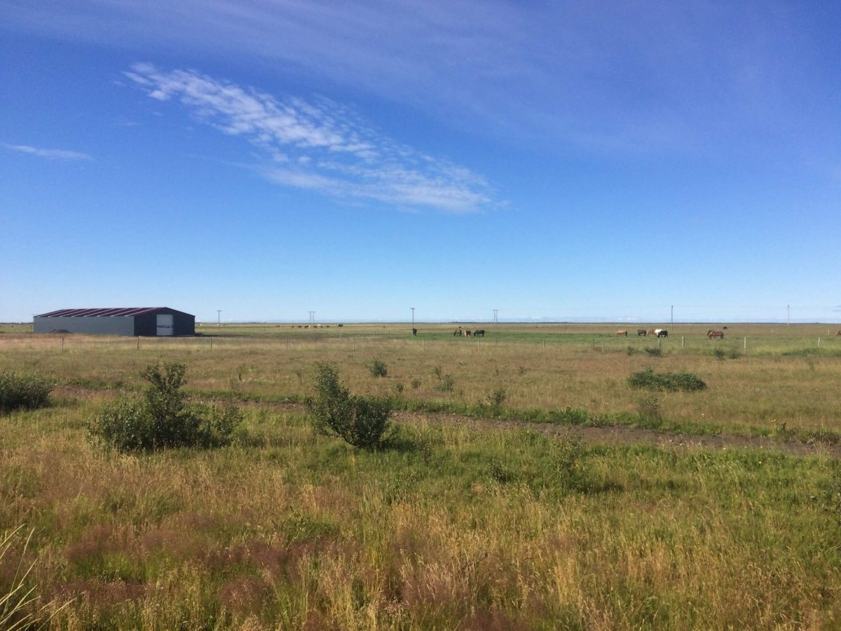 Široko daleko téměř nic