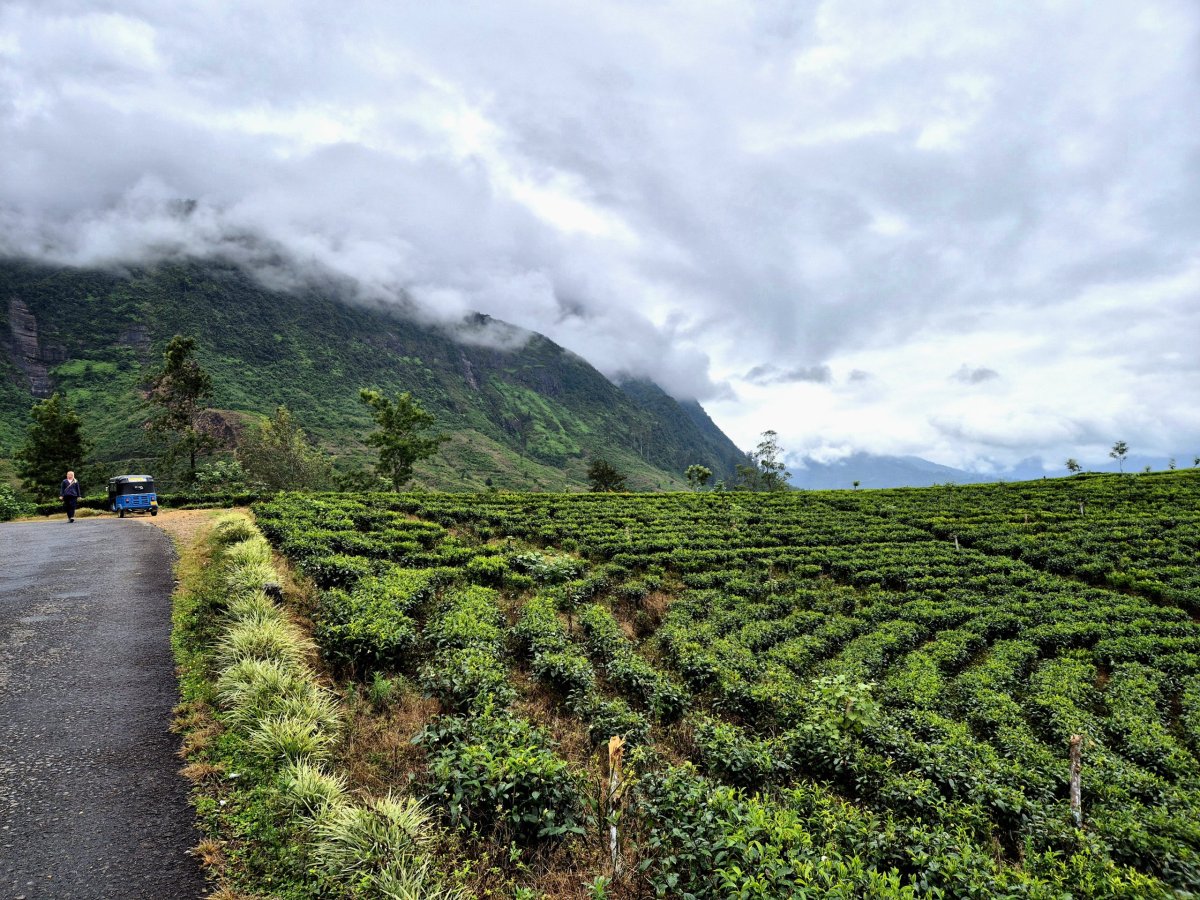 Adamova hora v mraku