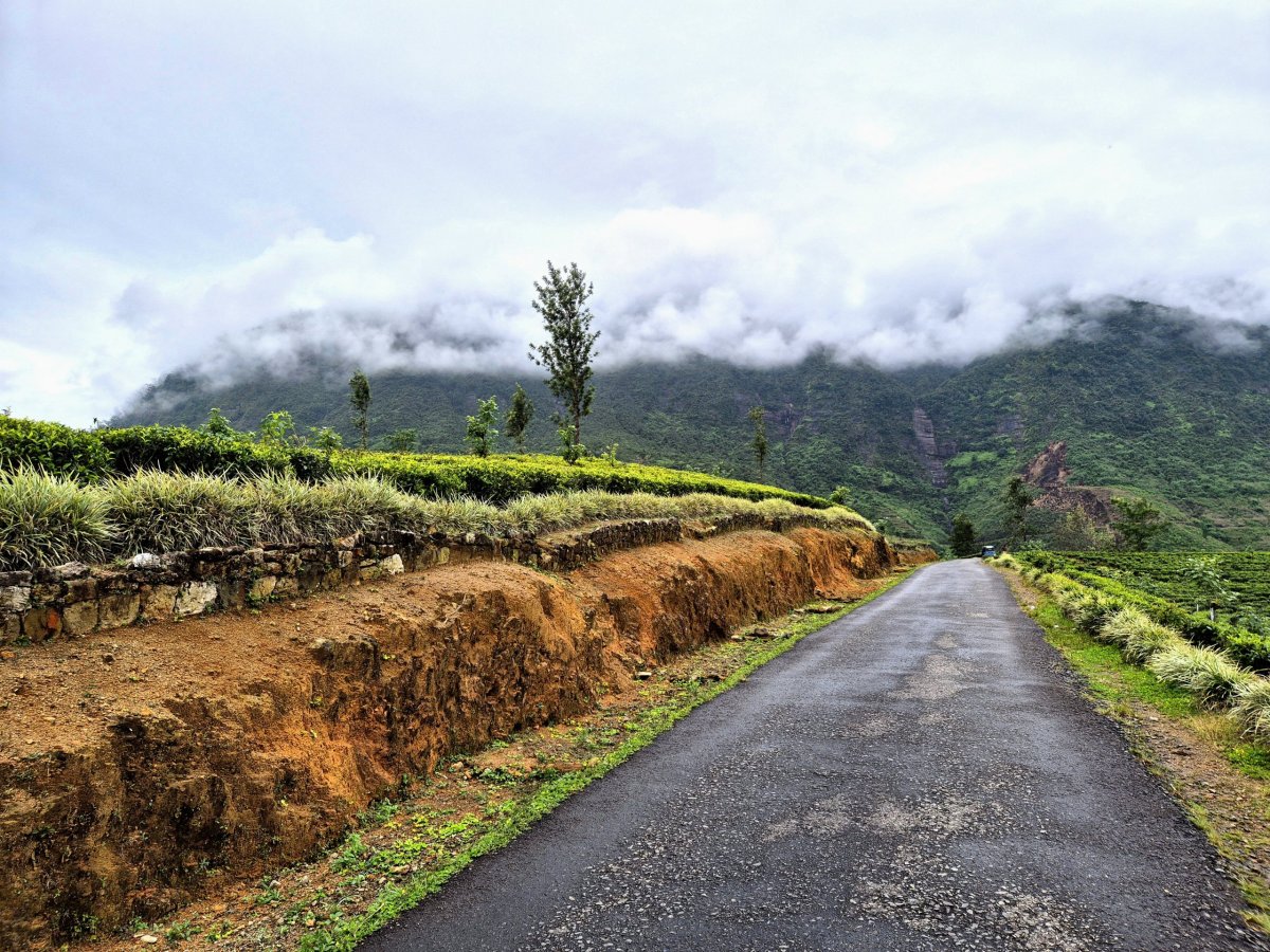 Adamova hora v mraku