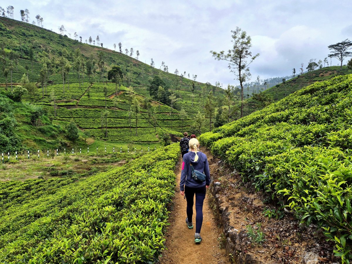 Pěšinka k Upper Gartmore