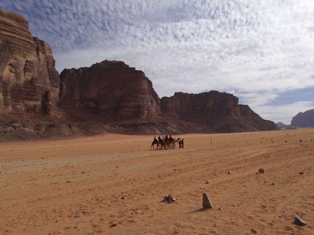 Místní jezdí pouze auty. Velbloudi jsou pro turisty.