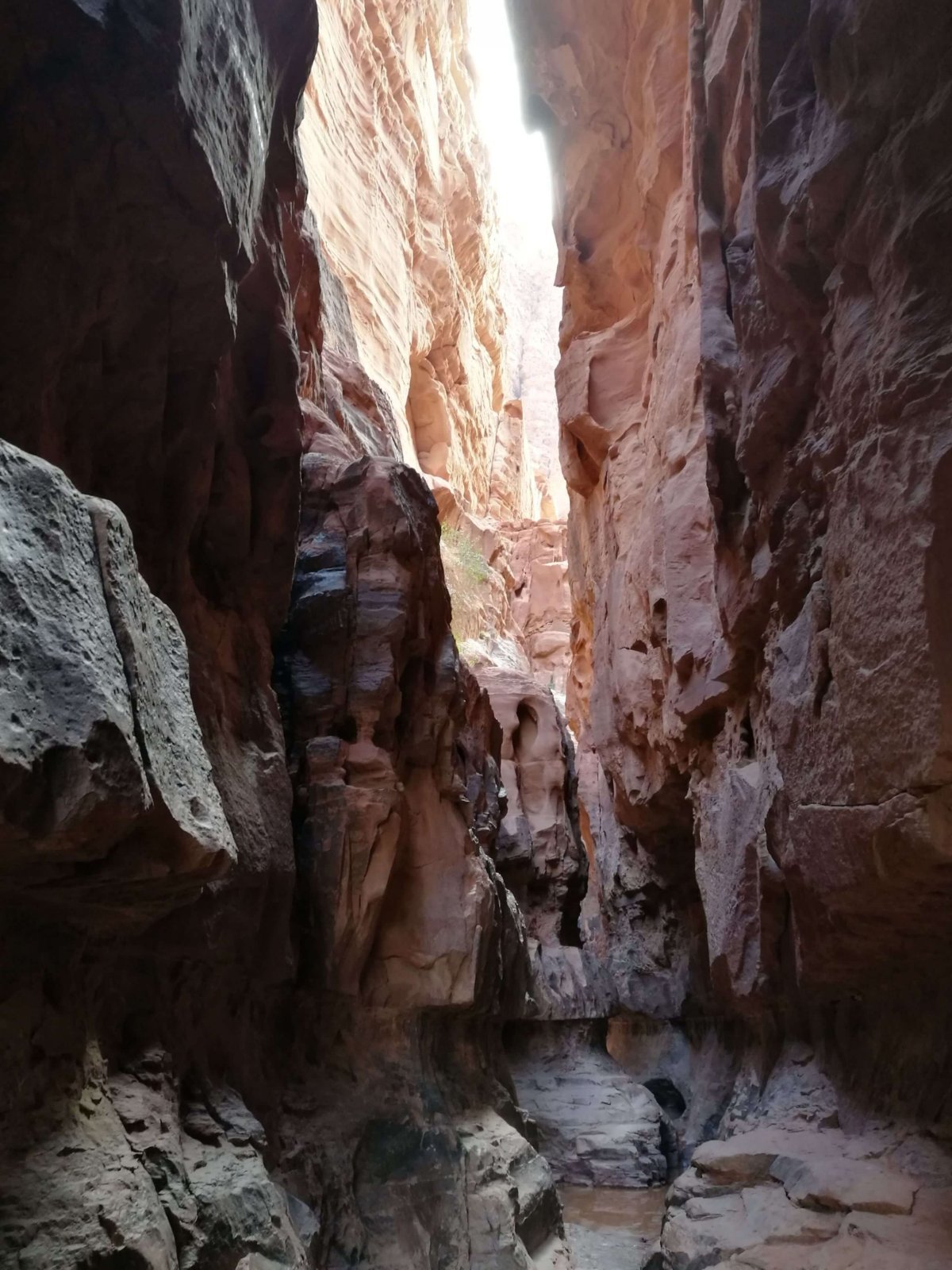 Jeden z důkazů, že i v poušti je voda (na dně). Khazali Canyon.