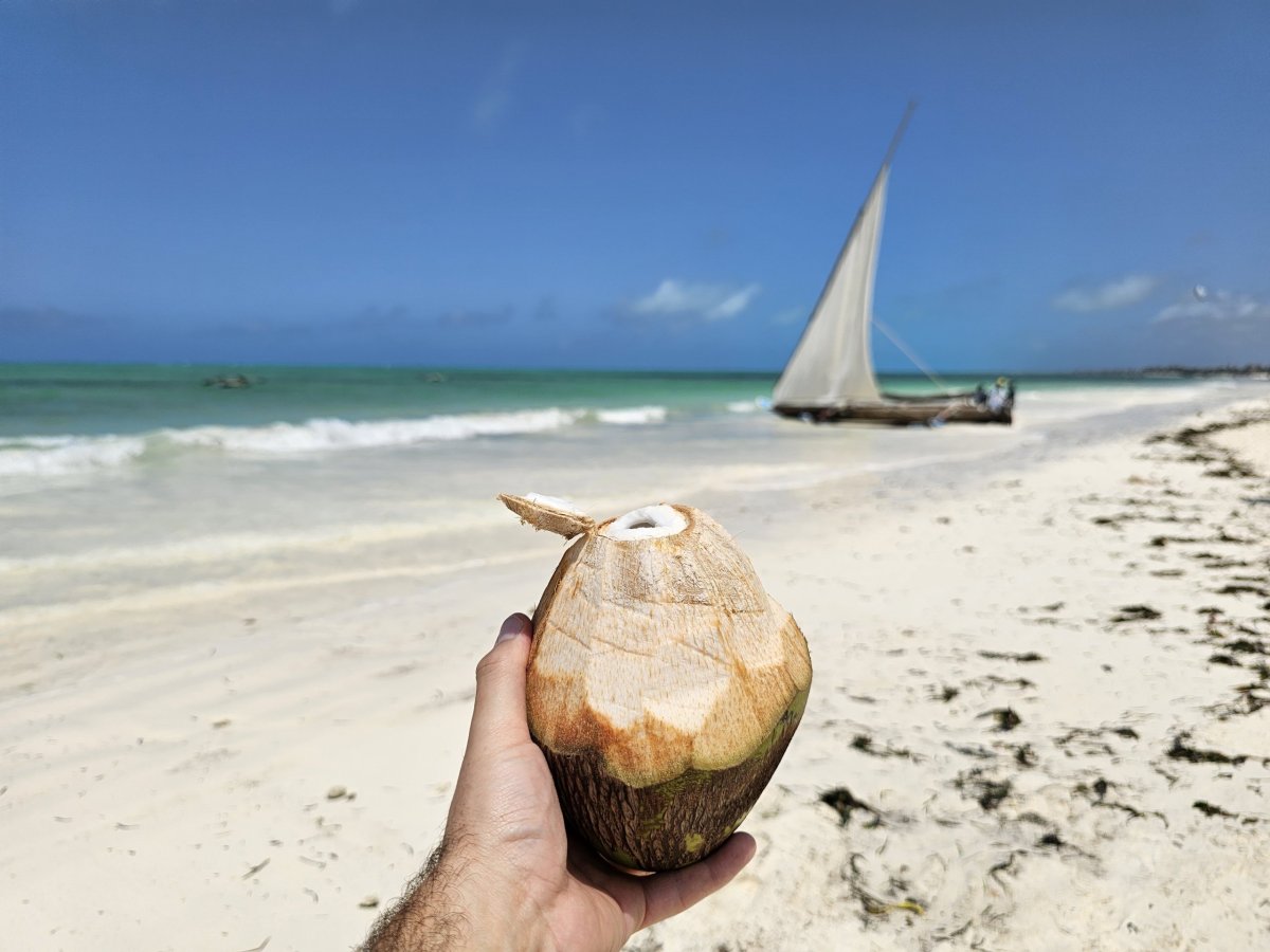 Kokos na pláži v Paje