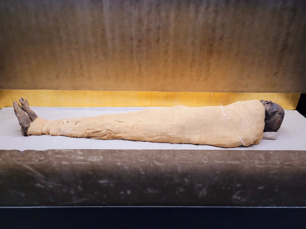Mumie v Imhotepově muzeu