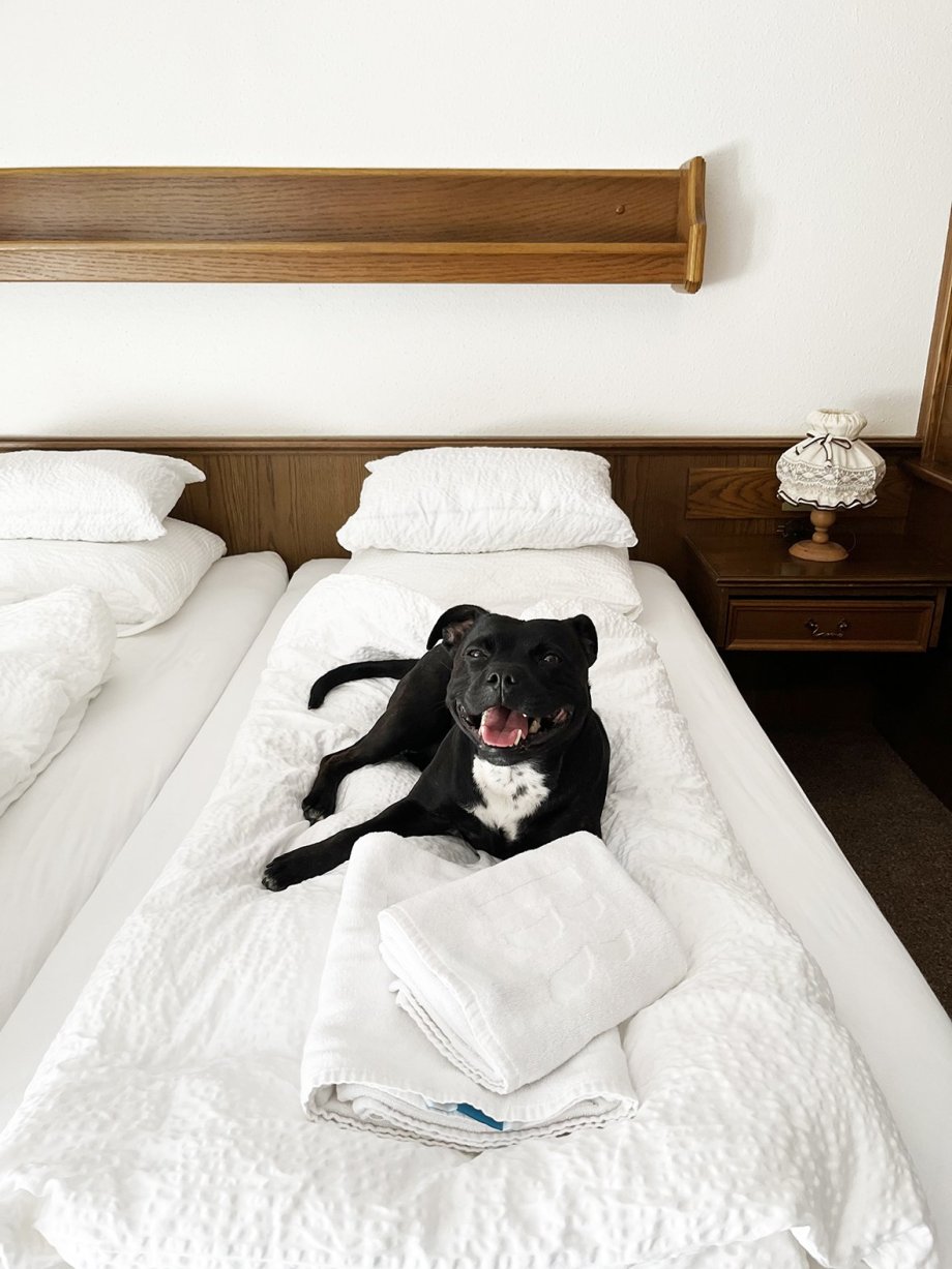 Postele prý mají ucházející :)