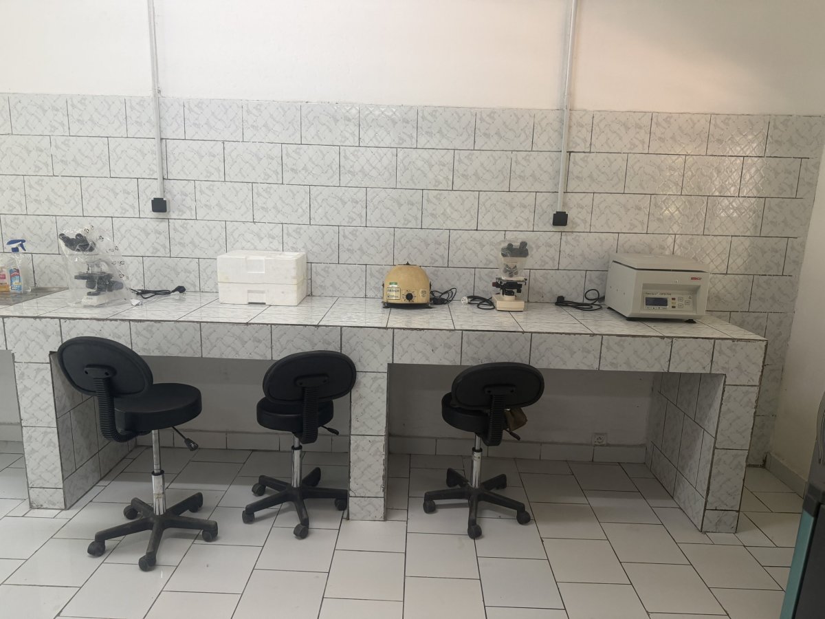 Místní laboratoř