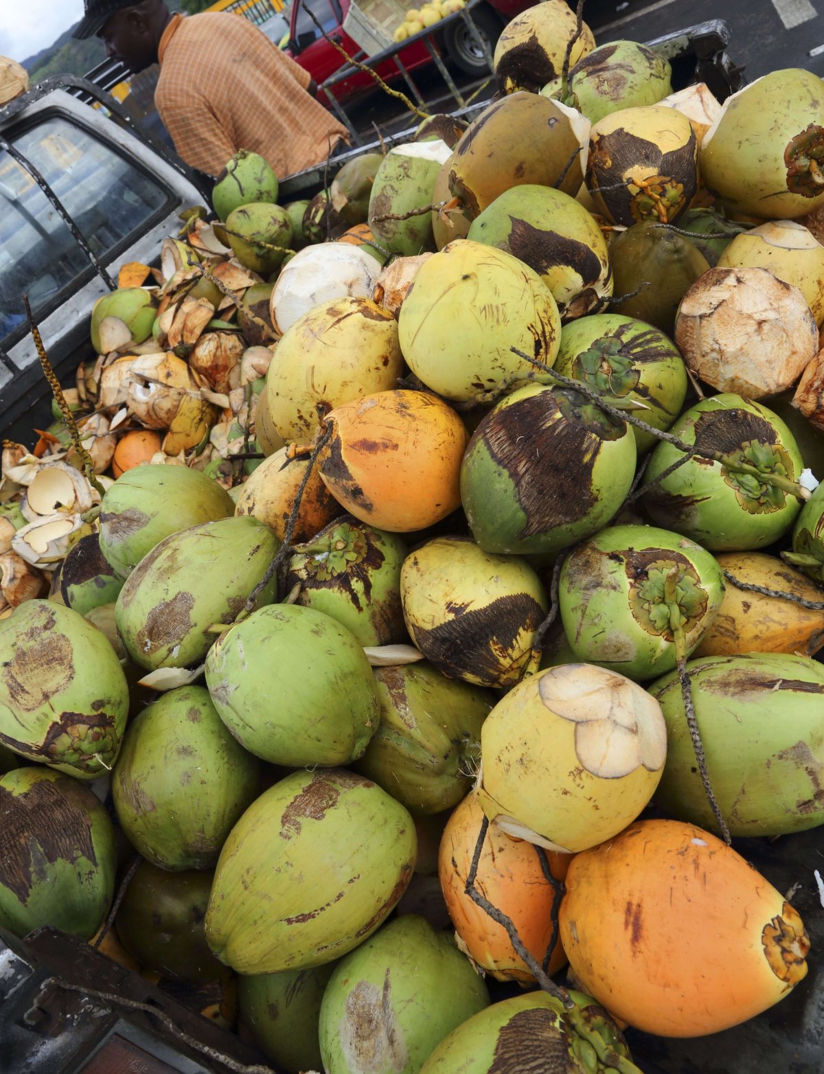Ovocný trh Dominika