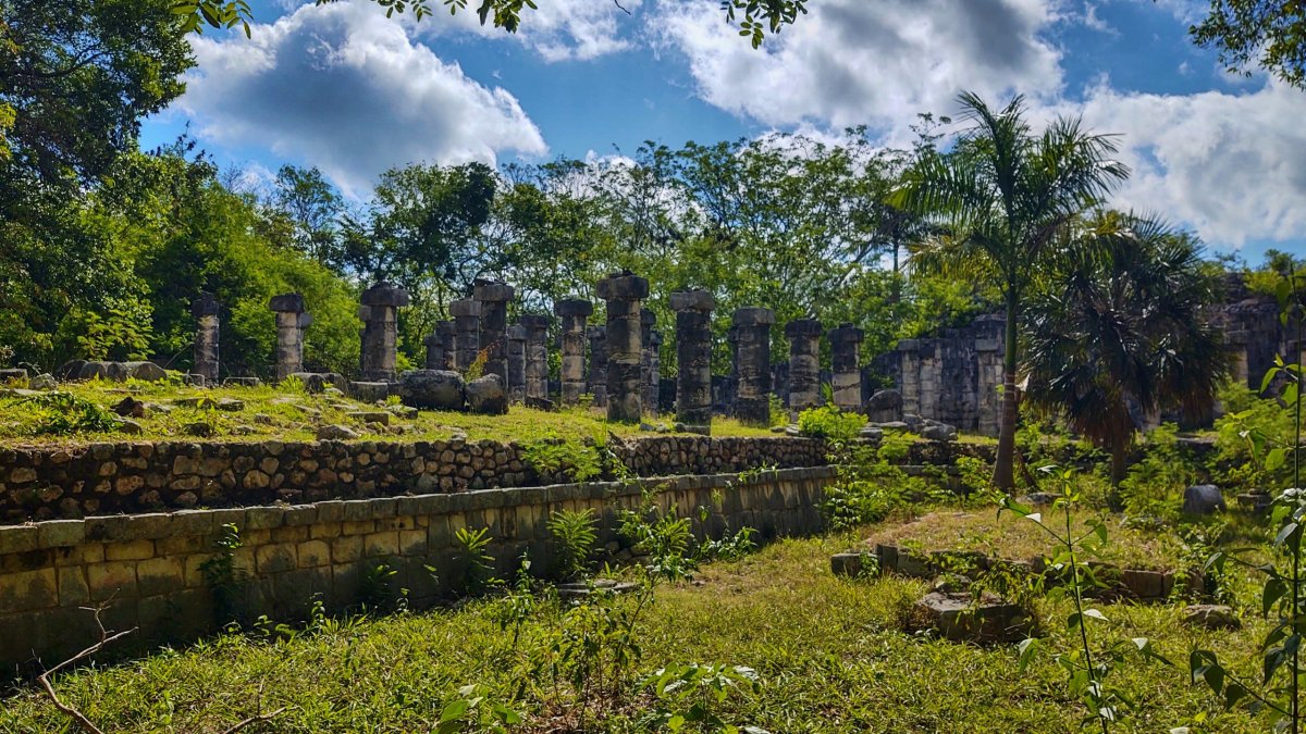 Džungle si bere zpět to, co jí patří