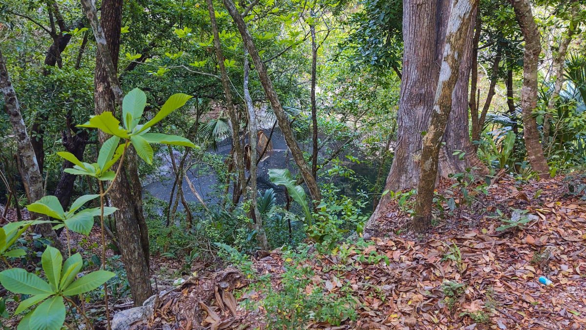 Xtoloc cenote - rozhodně není připravené pro koupání