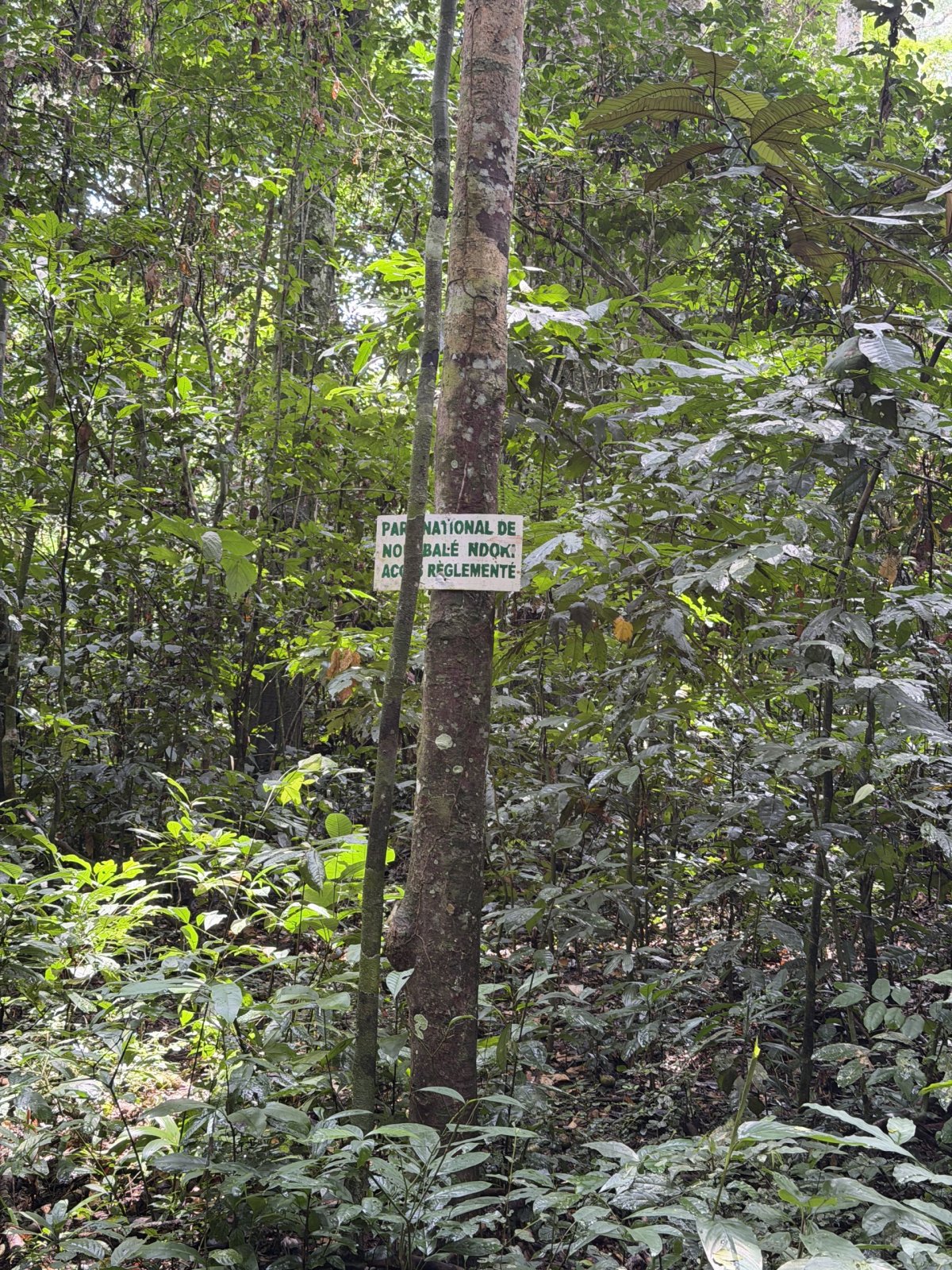 Hranice NP Nouabalé-Ndoki