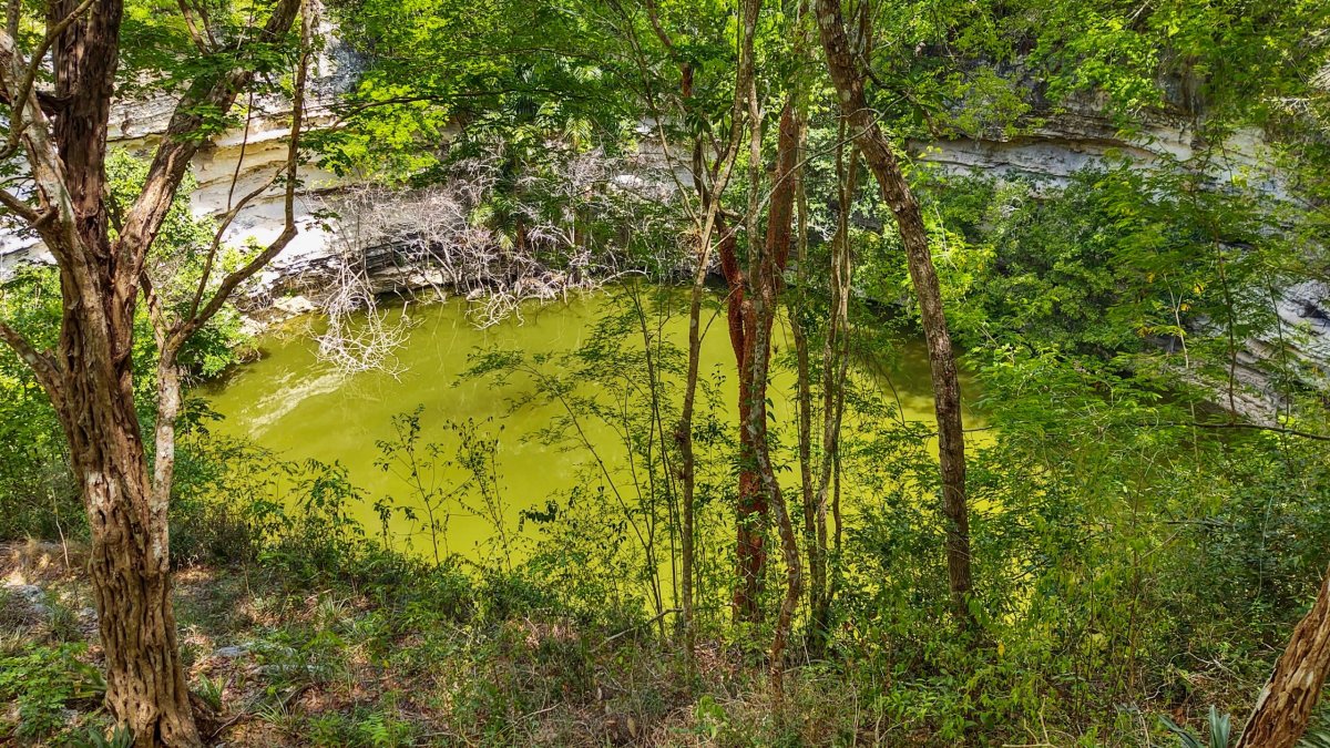 Obětní cenote Sagrado