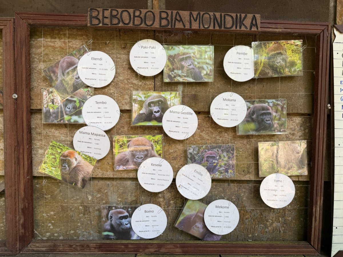 Habituovaní jedinci bez své skupiny