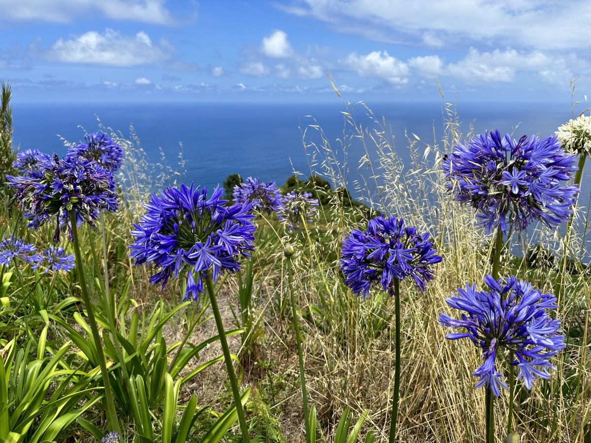 Miradouro da Eira da Achada
