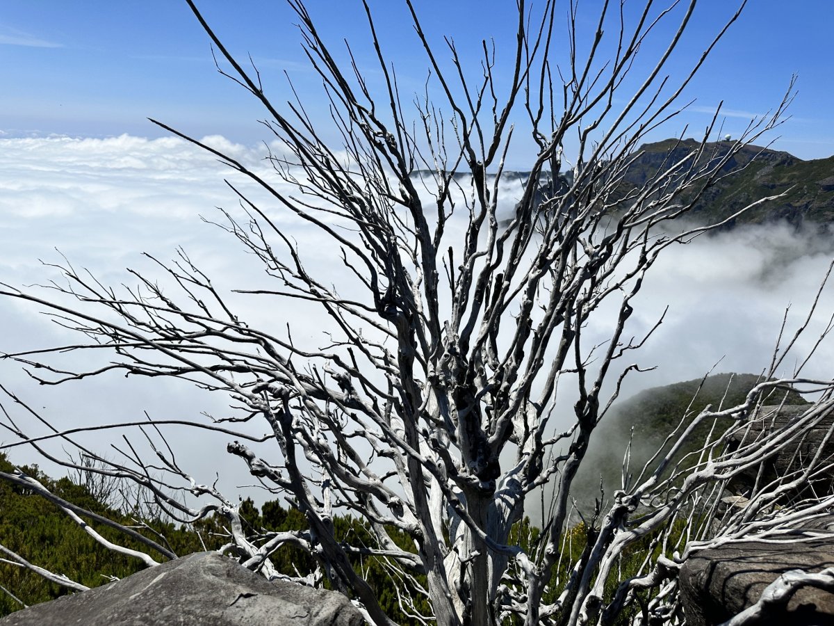 Výšlap na Pico Ruivo