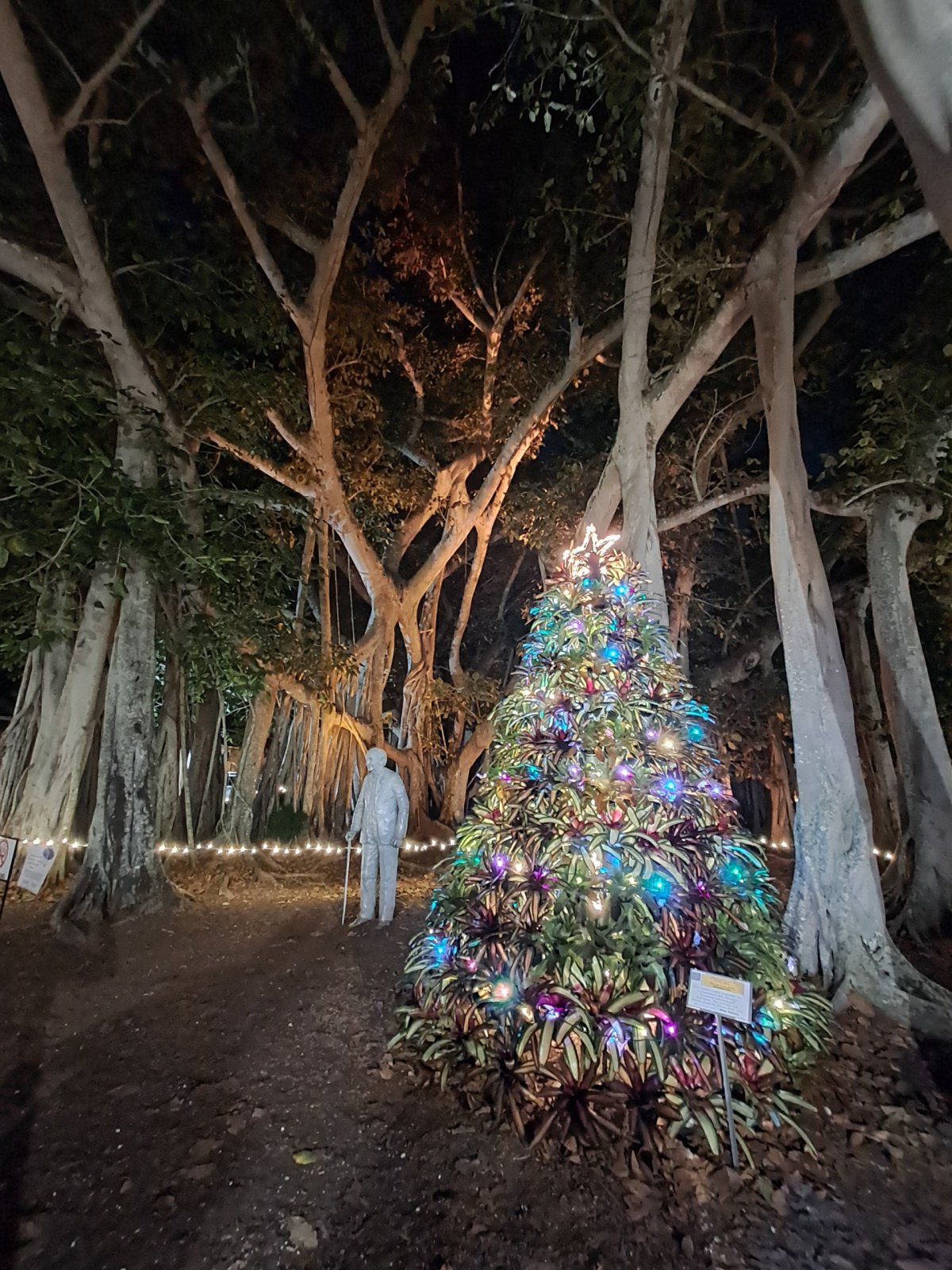 Edison and Ford Winter Estates