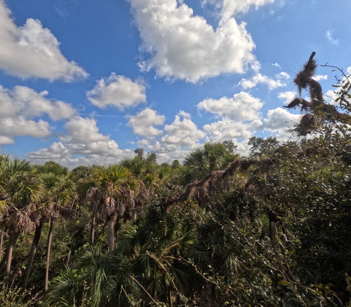 Jurský park na Floridě