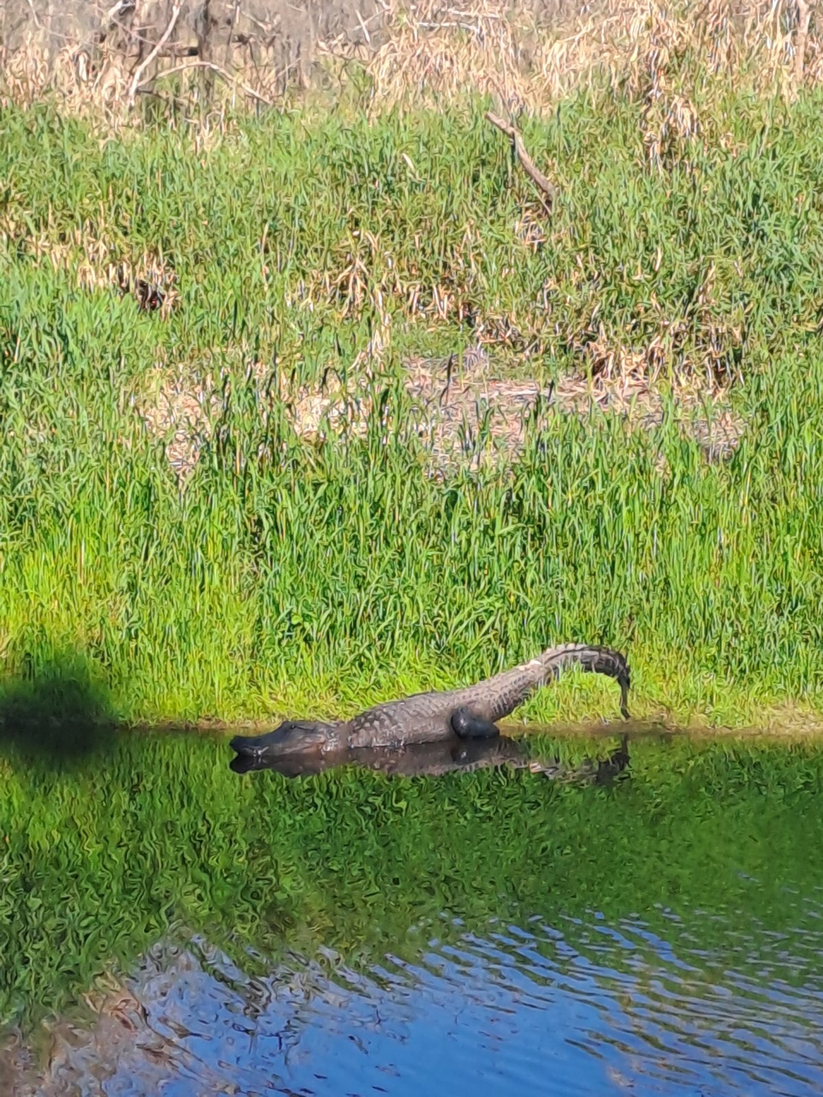 Kdepak mám svačinku?