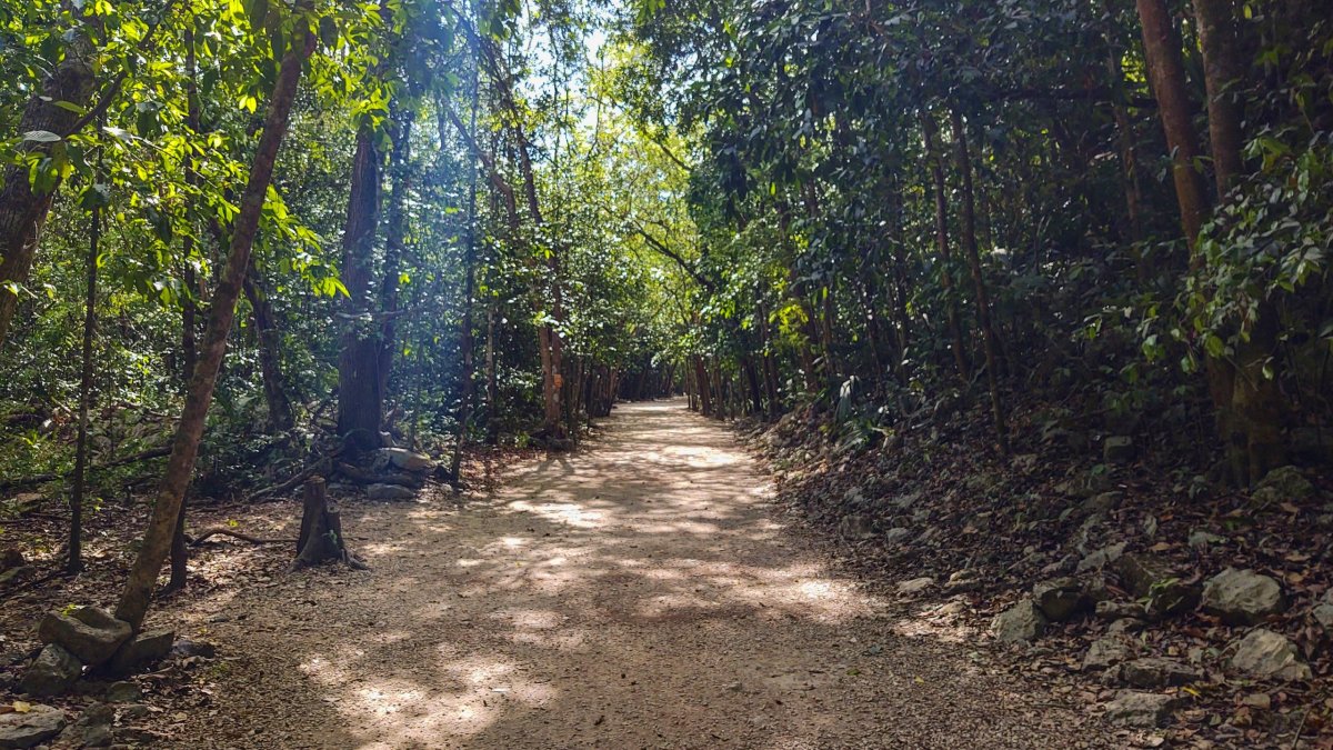 Cesty jsou po většinou ve stínu stromů