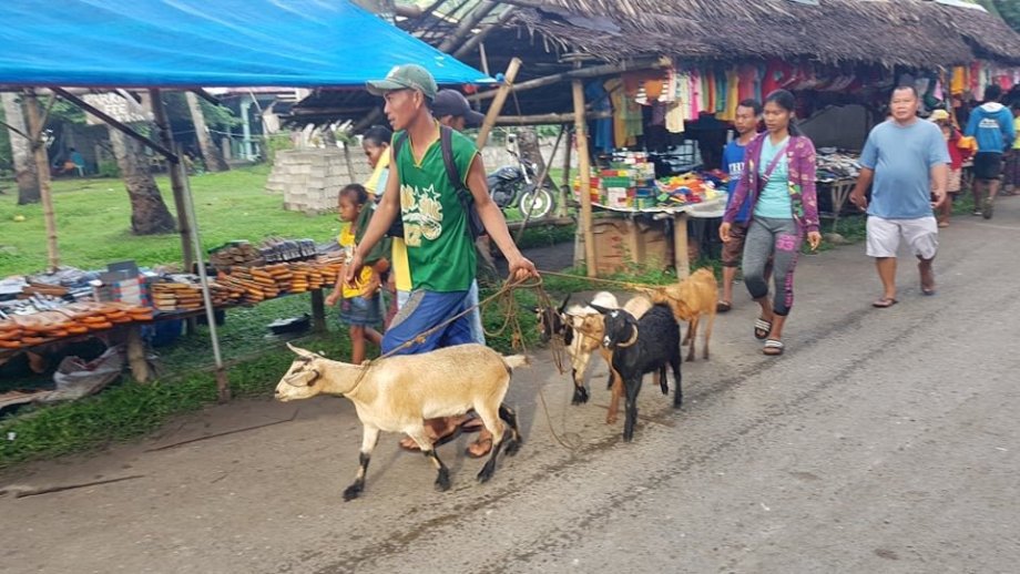 Ranní trh, Zamboanguita