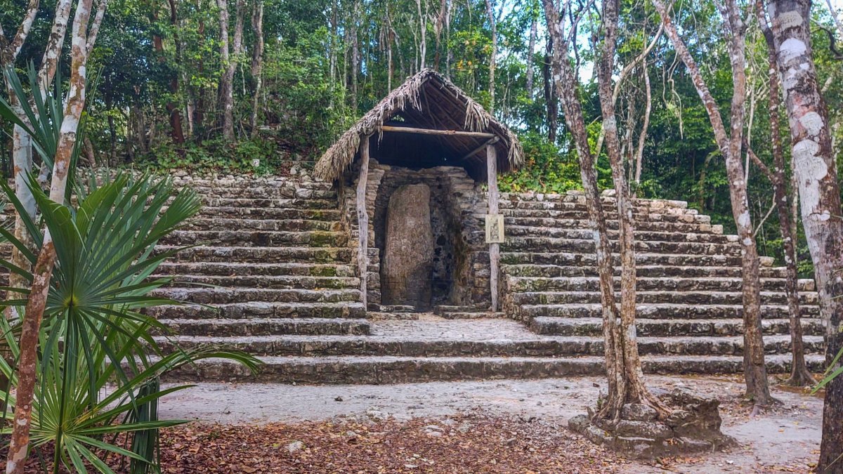Cobá