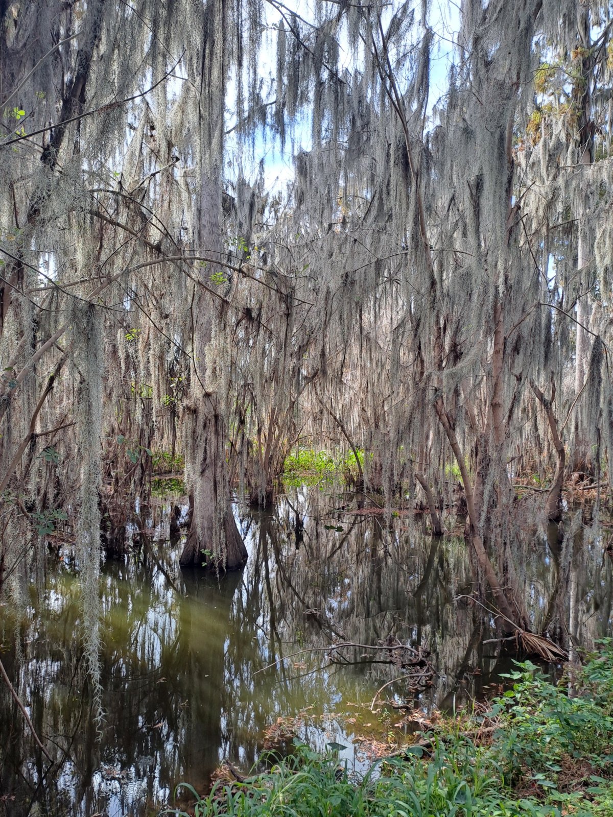 Circle B Bar Reserve