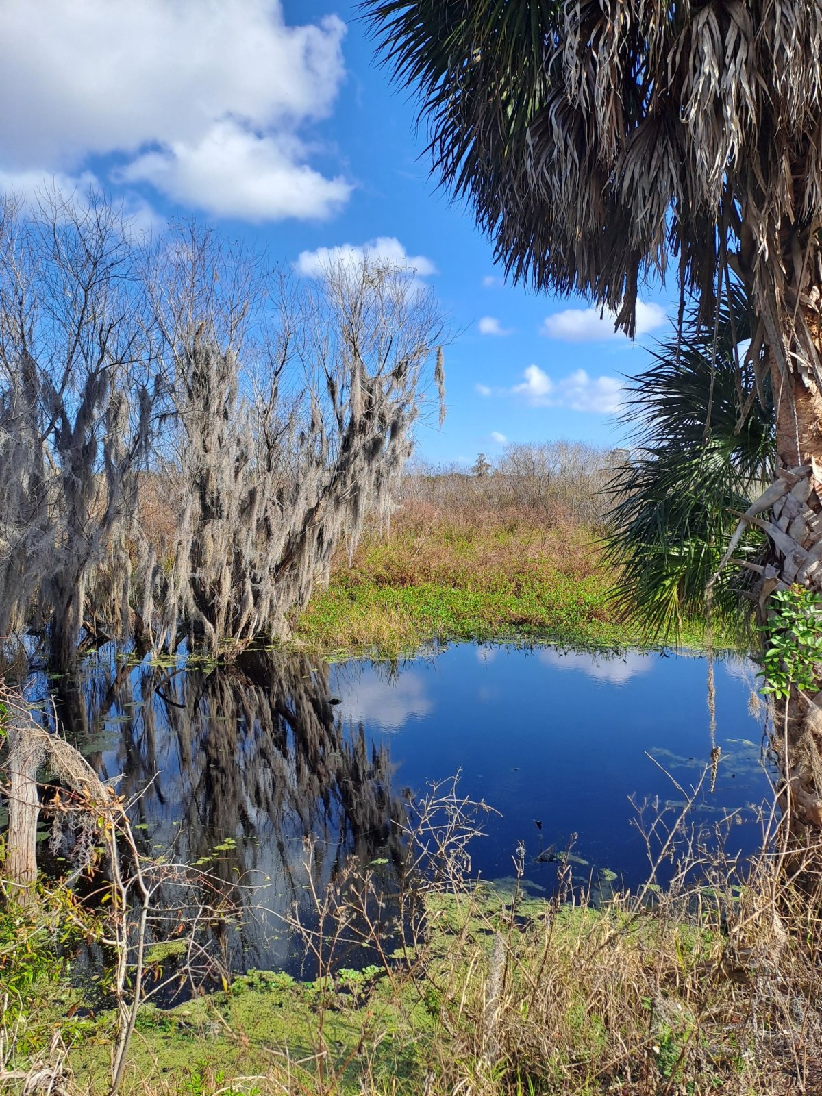 Výhledy jak z pohádky