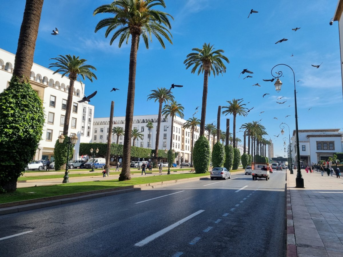 Rabat - Alawite Square