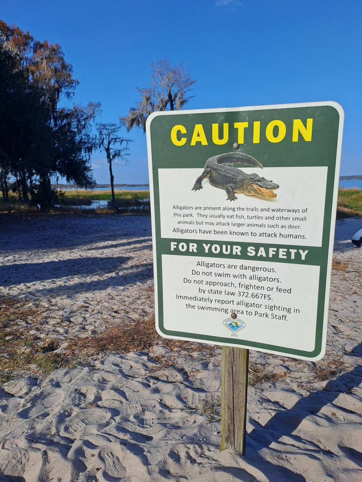 Koupání s aligátory