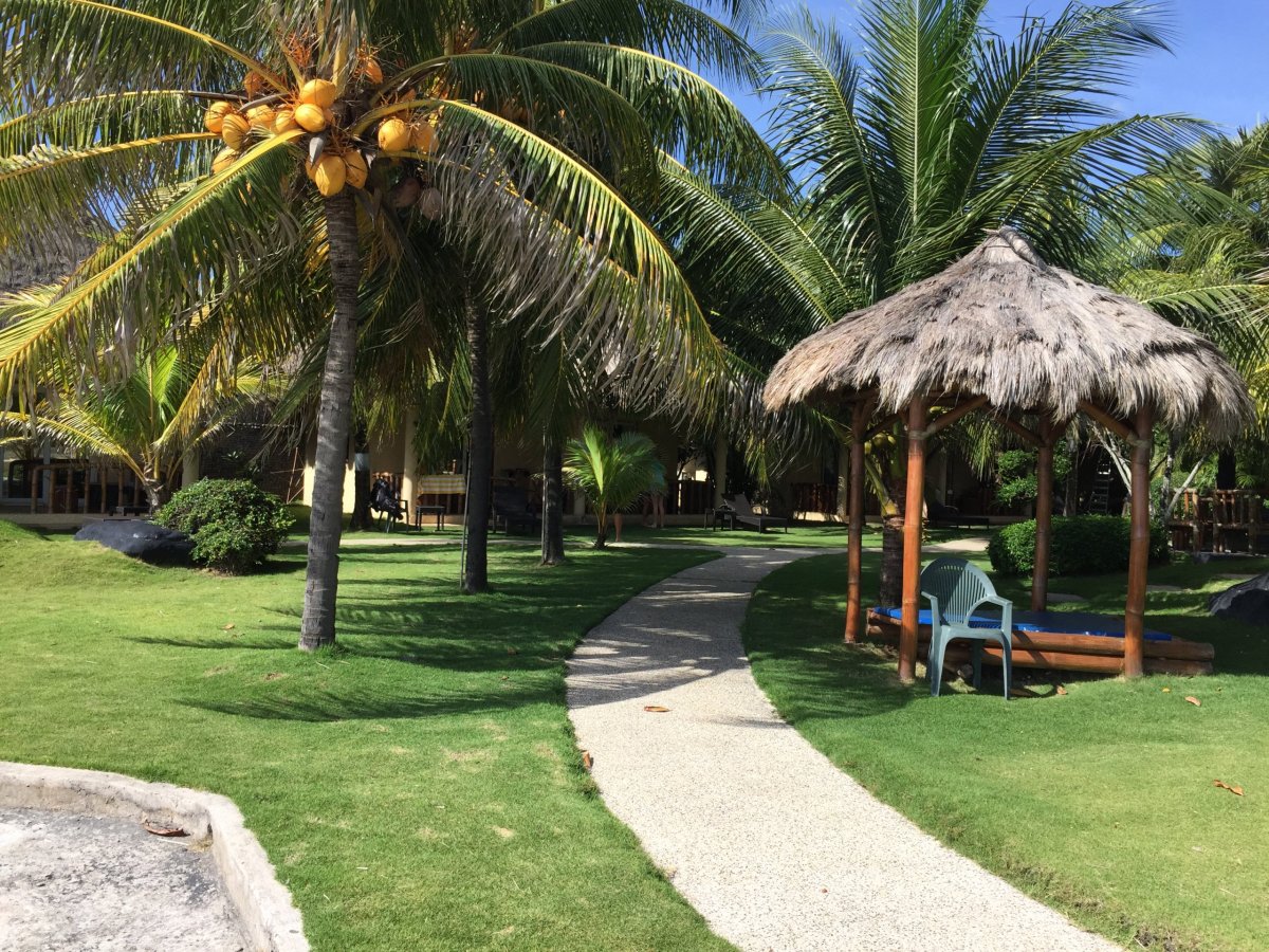 Palma s kokosy, Thalatta resort