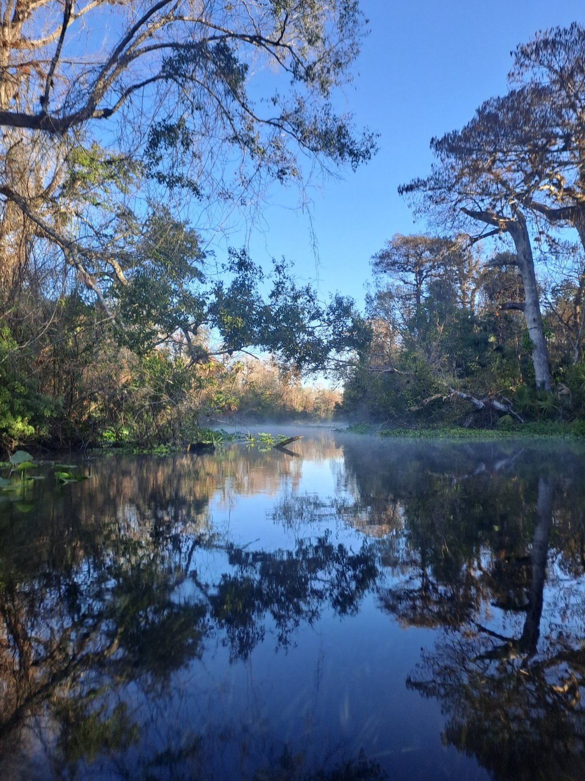 Smoke on the water..