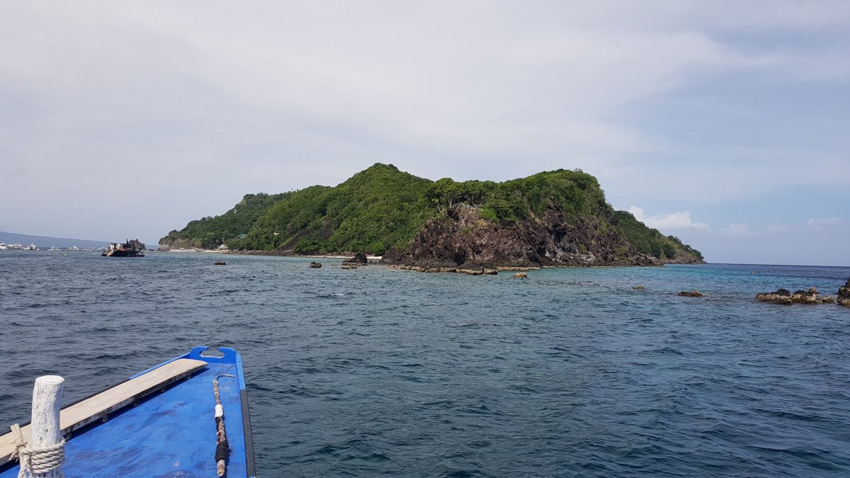Apo island