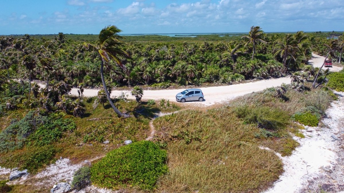 Cesta skrz rezervaci