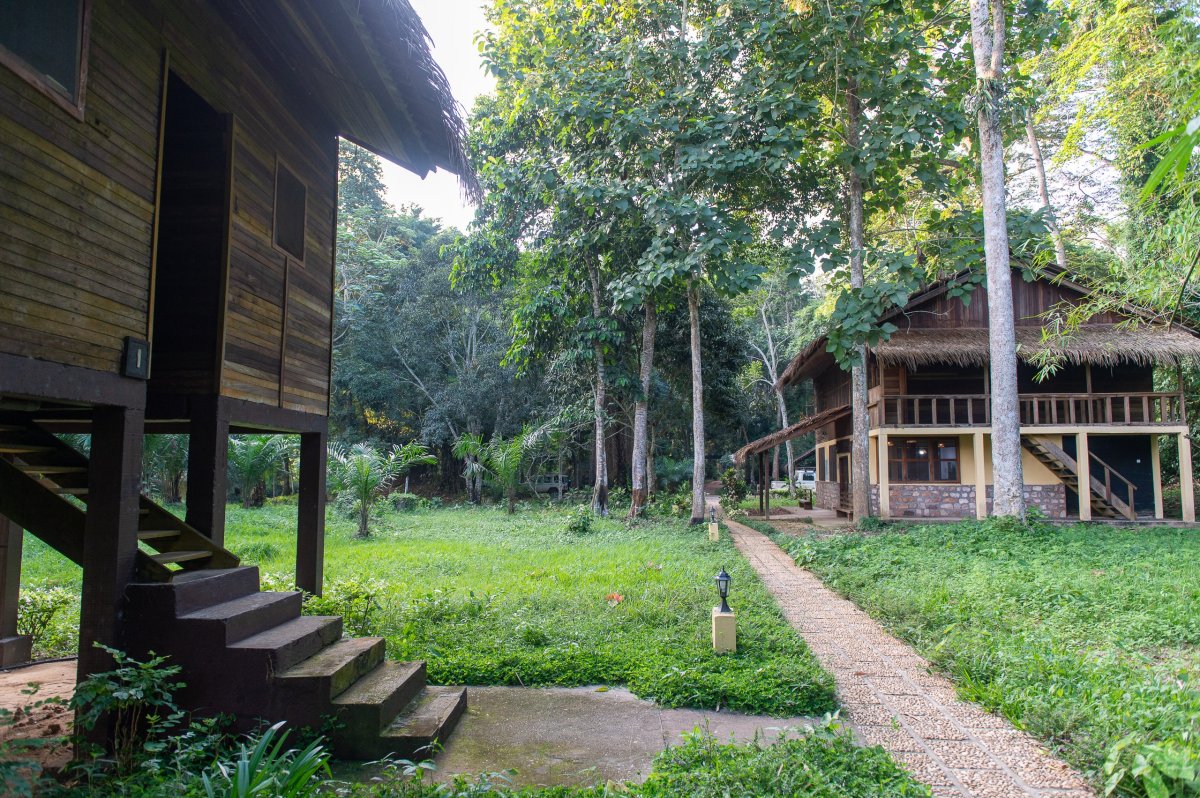 Doli Lodge