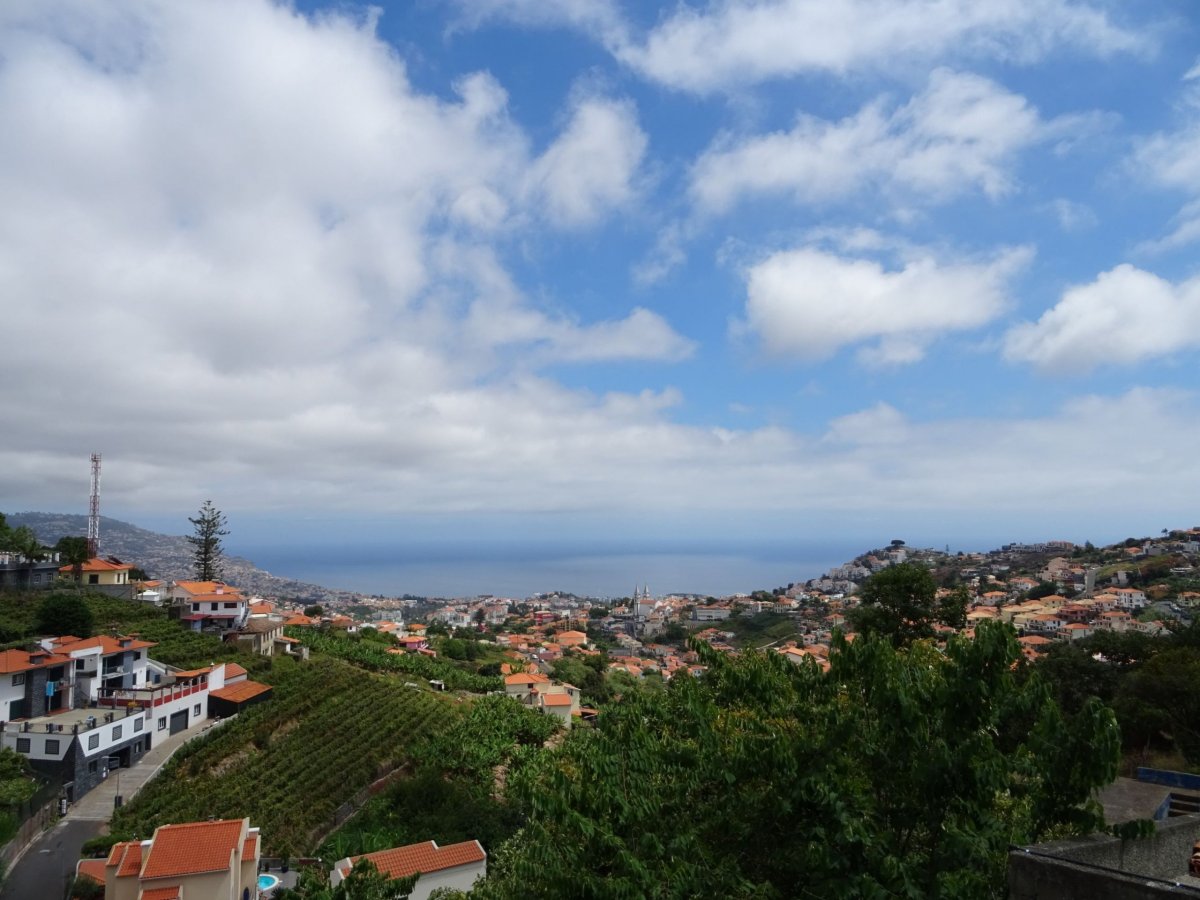 Výhled z ubytování Vista Funchal.