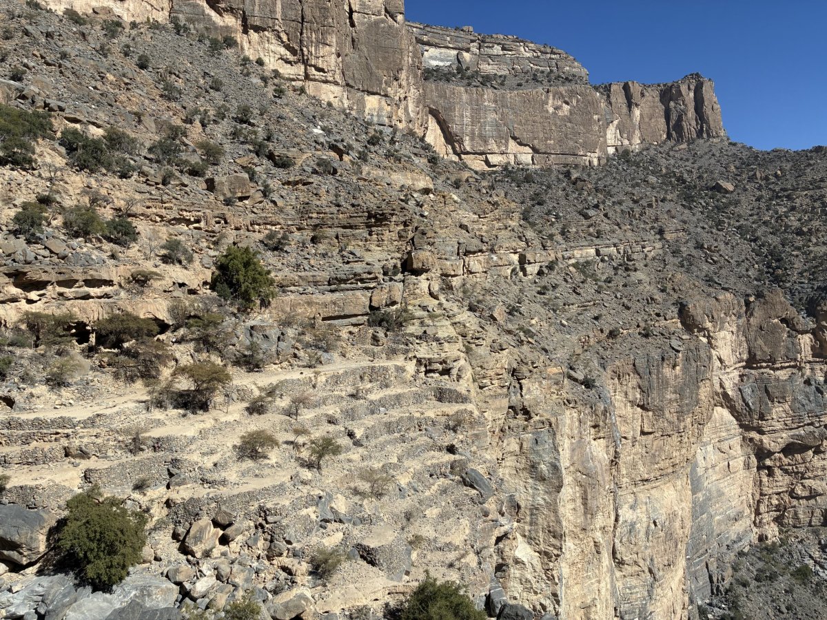 Terasovitá políčka