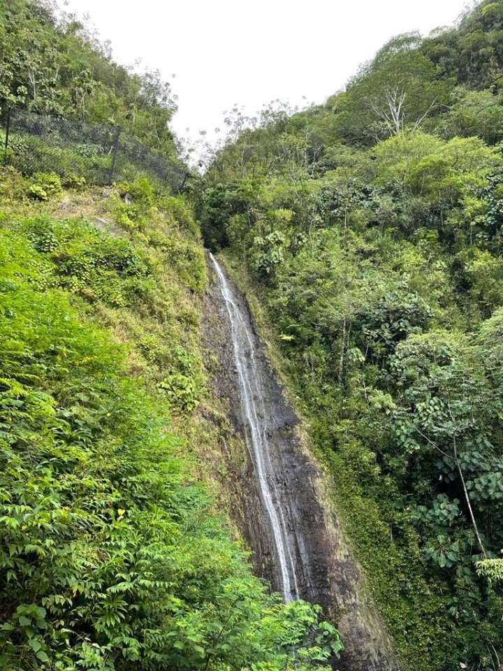 MOANA FALLS
