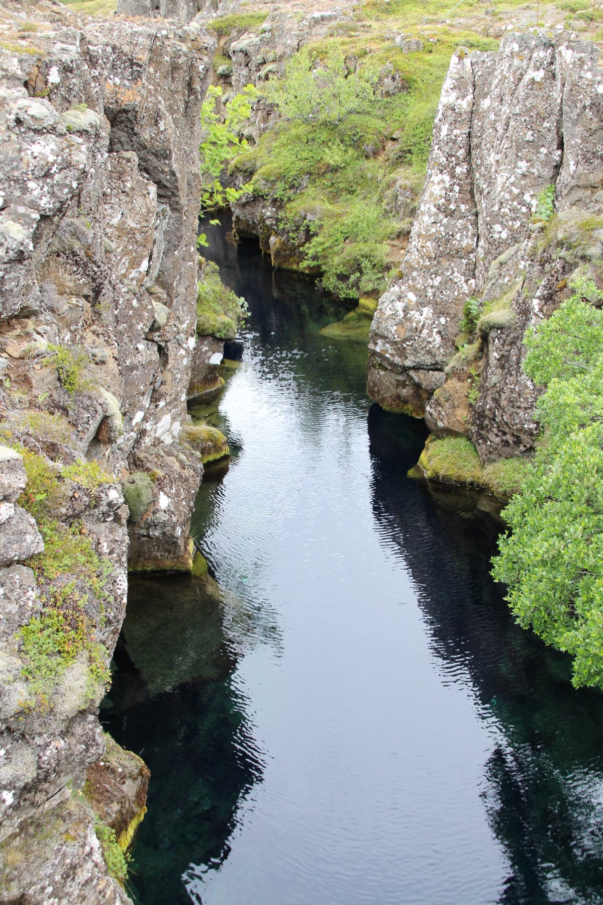 Silfra - trhlina mezi deskami
