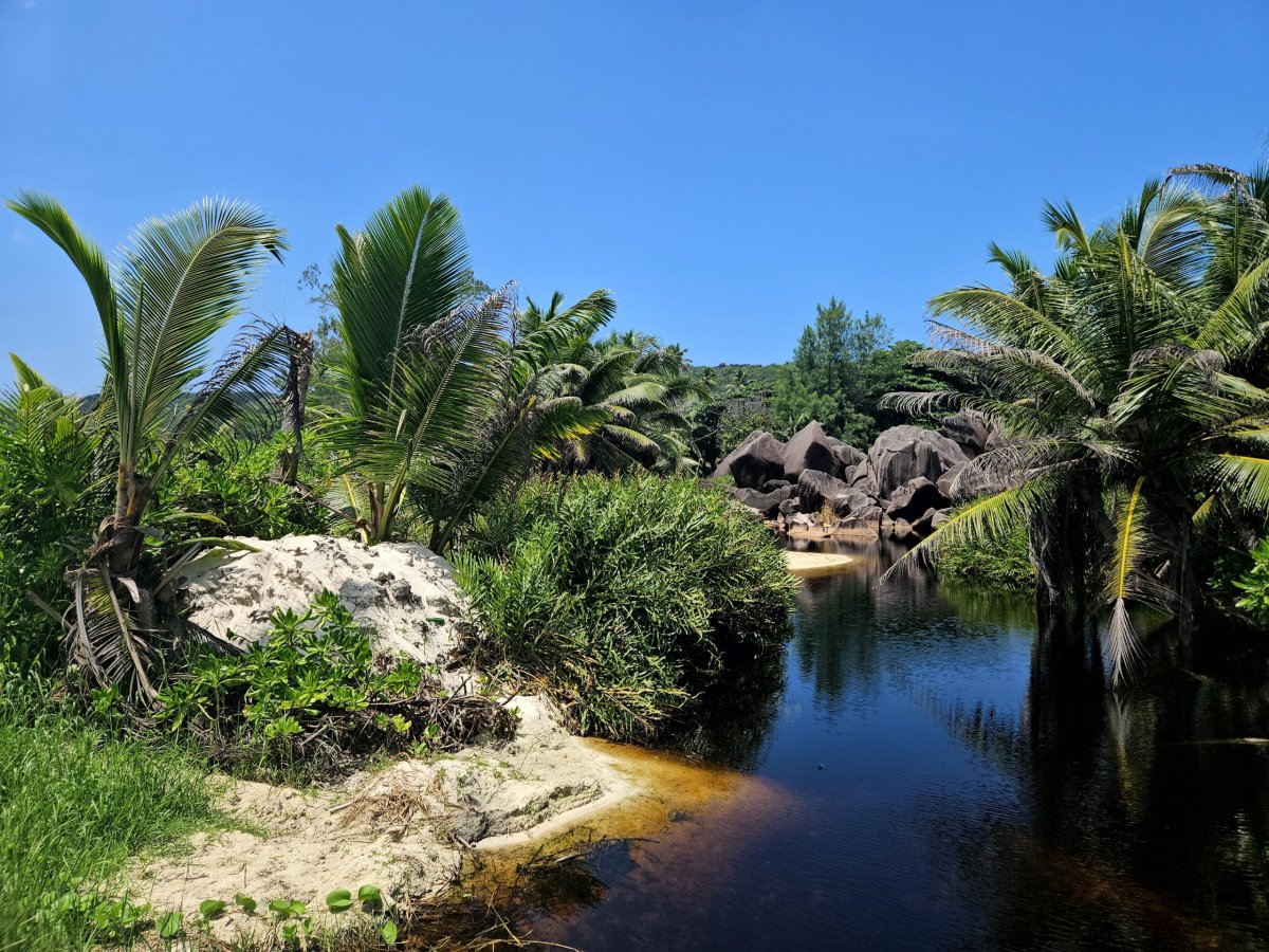 Přechod džunglí na další pláže