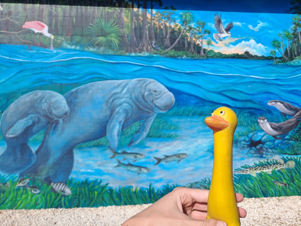 Moje letní láska 💙